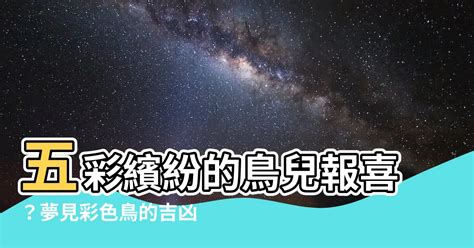 鳥寓意|各種鳥代表什麼寓意，各種鳥的象徵意義